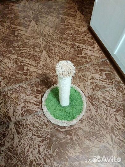 Когтеточка