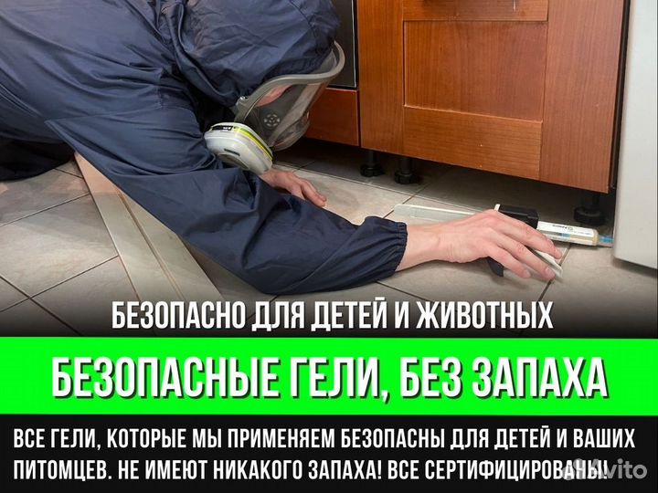 Дезинфекция