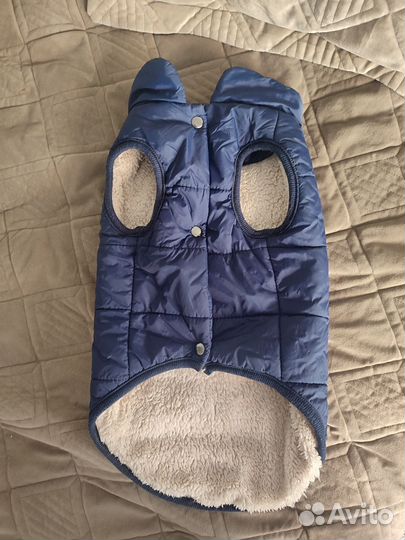 Зимняя попона для собак