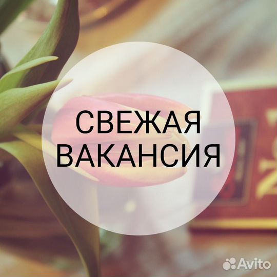 Консультант (ул. Кабанская)