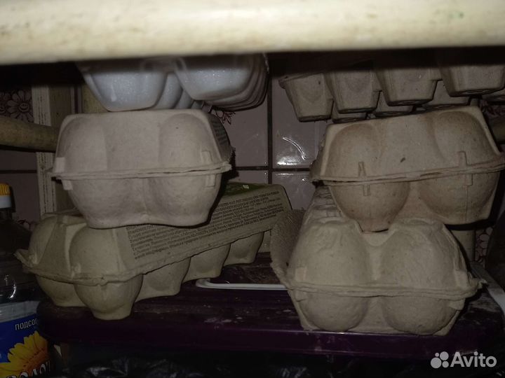 Коробки для яиц