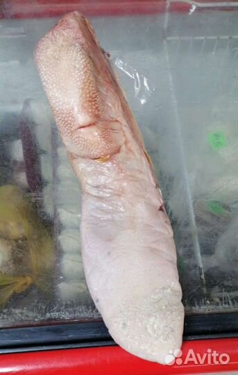 Язык говяжий