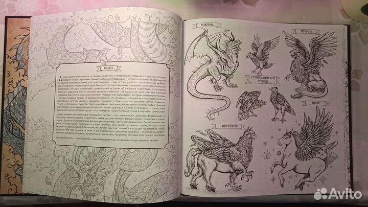 Раскраска антистресс