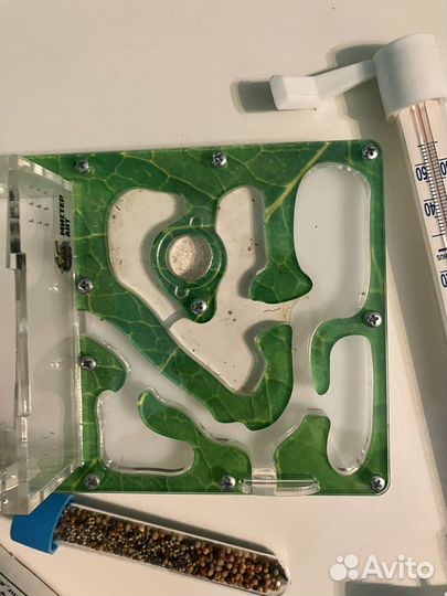 Муравьиная ферма