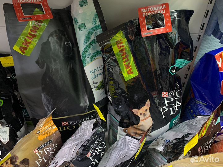 Корм для собак