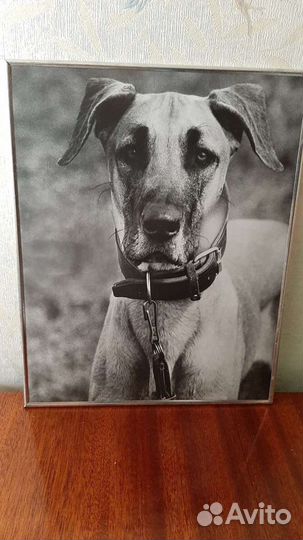 Картина, художественная фотография, чеканка