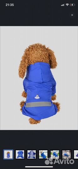 Дождевик для маленькой собаки