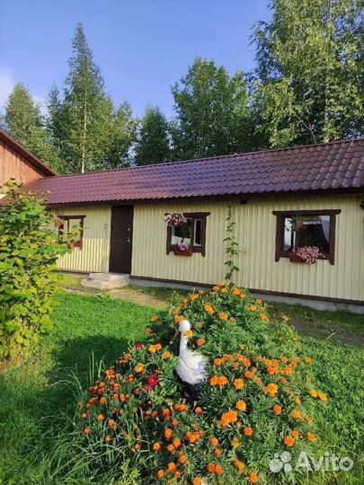 Валаам+ Шхеры (2 ночи проживание)