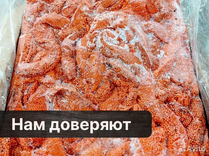 Ястык форели