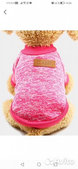 Одежда для кошек и собак