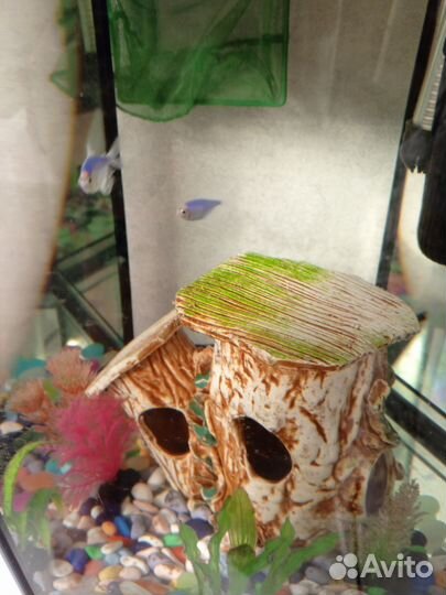 Аквариум