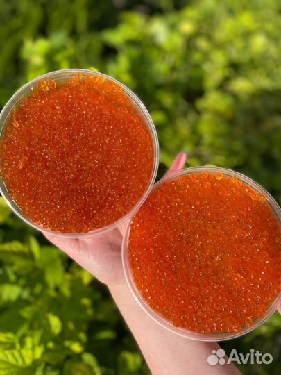 Красная икра