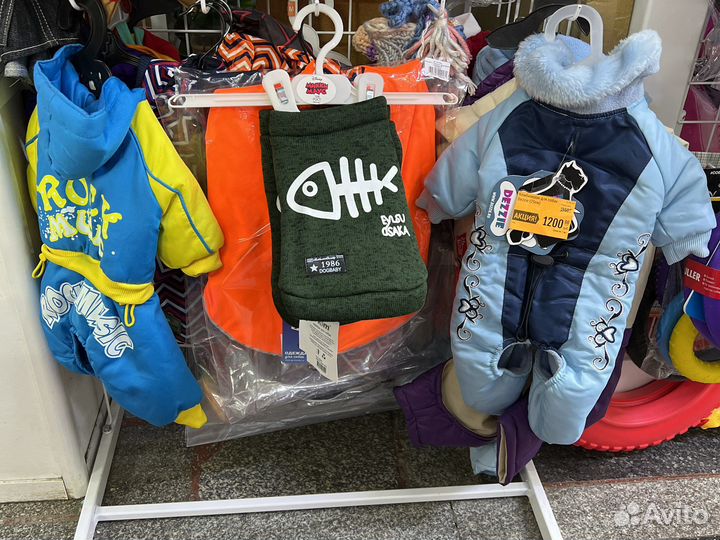 Одежда для собак