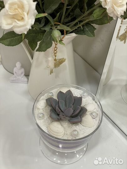 Композиция с живым суккулентом в подарок