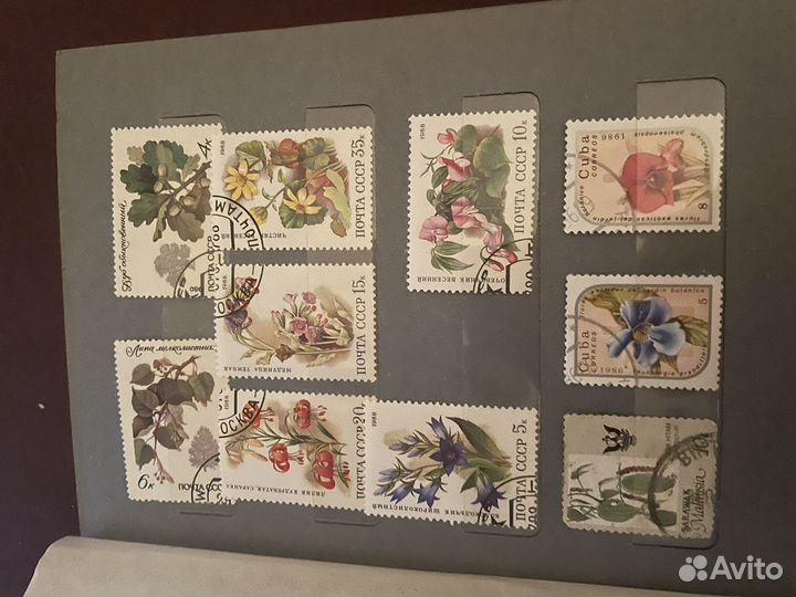 Марки СССР флора и фауна