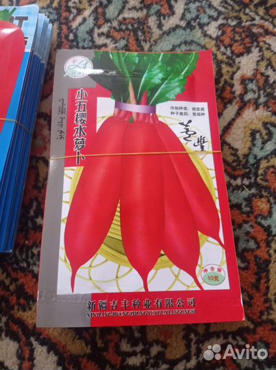 Семена моркови