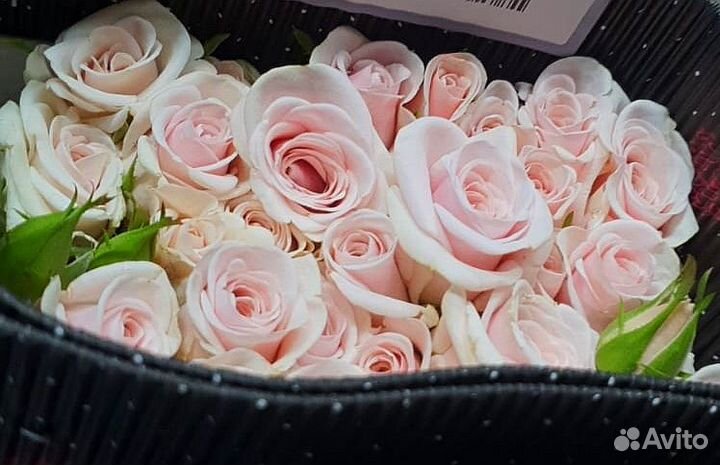 Поставка цветы оптом