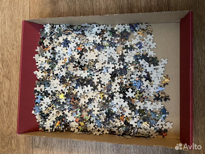 Пазлы новые castorland 1500