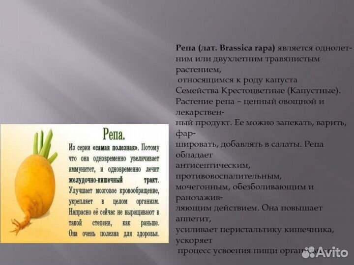 Семена репы и брюквы