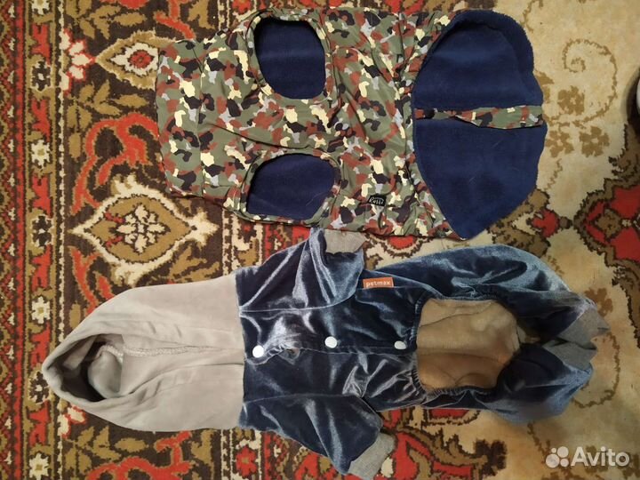 Одежда для собак