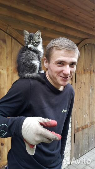 Репетитор начальных классов с выездом на дом