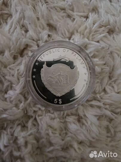 Жемчужина серая - Пинктада маргаритифера