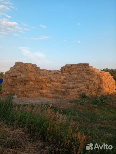 Сено люцерны в тюках