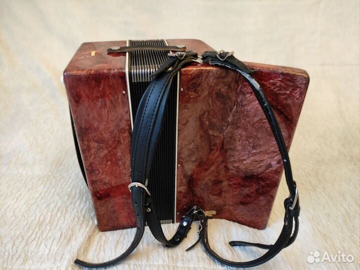 Аккордеон Юность 1/2