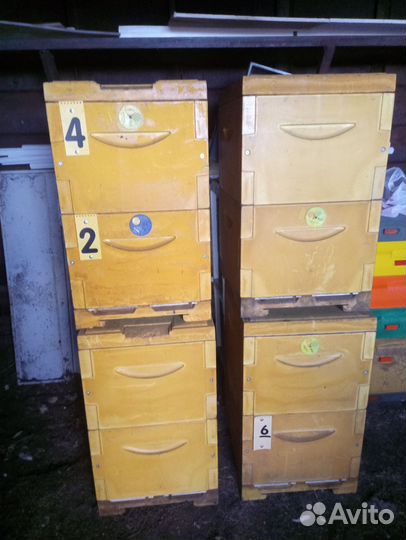 Улей для пчел ППУ Медведь