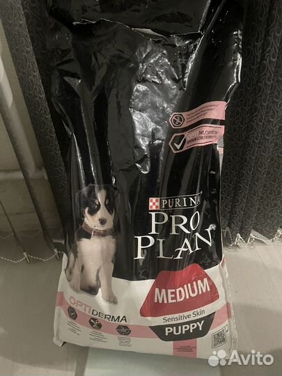 Сухой корм для собак крупных пород