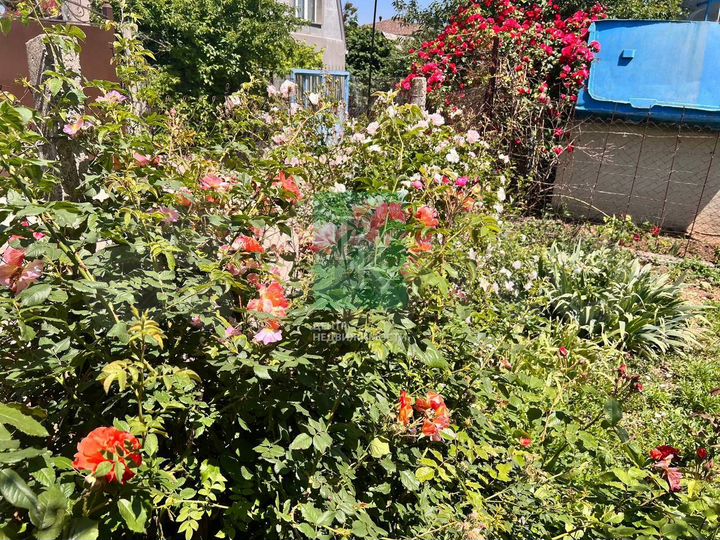 Участок 4 сот. (СНТ, ДНП)