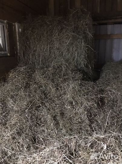 Сено в рулонах 2023