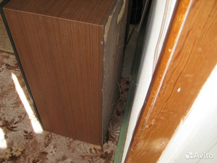 Колонки Вега 50 ас-106