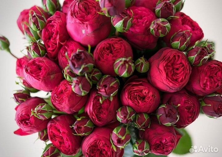 Пионы и пионовидные розы