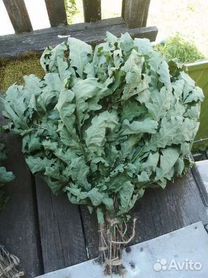 Веники банные