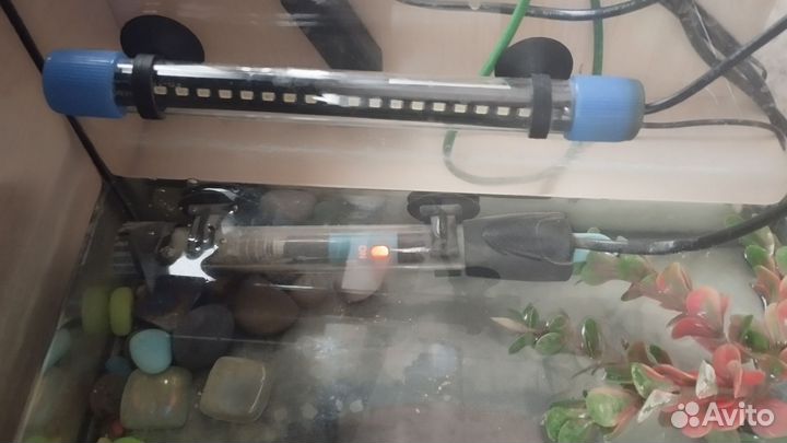 Аквариум со всем содержимым