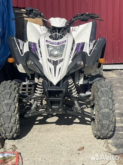 Raptor 350atv
