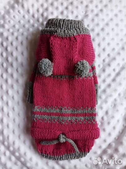 Одежда для животных