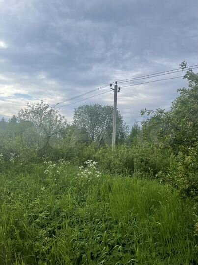 Участок 25 сот. (ИЖС)