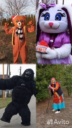 Ведущая, поздравления, диджей