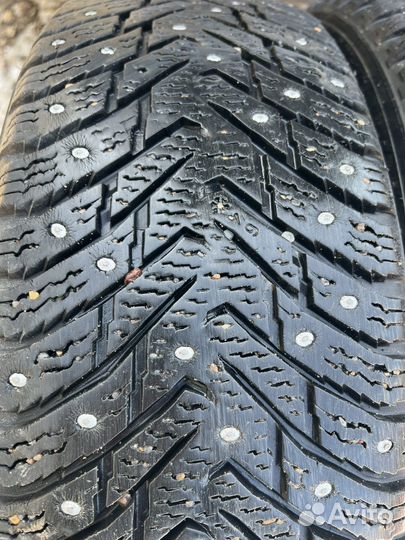 Nokian Tyres Hakkapeliitta 8 195/65 R15