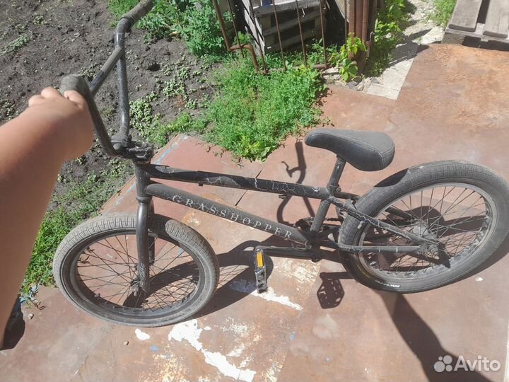 Bmx tech team grasshopper