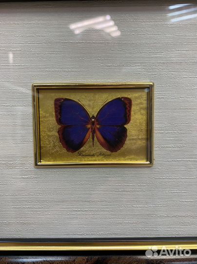 Картина миниатюра на золоте