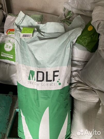 Клевер белый. Посев травы