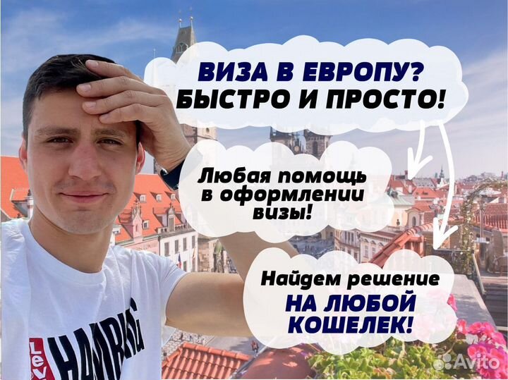 Виза шенгенская виза\ туристическая виза