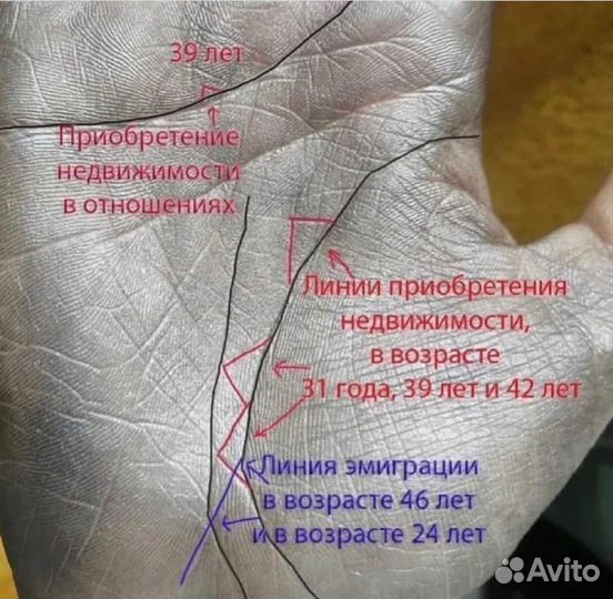 Хиромант,астролог,обучение