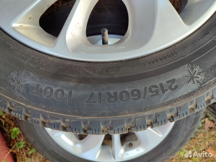 Triangle IceLink Trin PS01 215/60 R17 100T