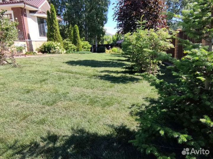 Газон под ключ