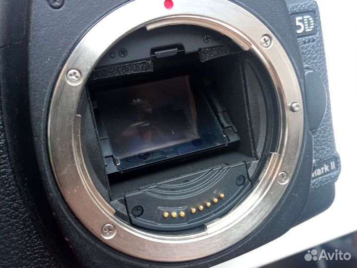 Canon eos 5d mark ii