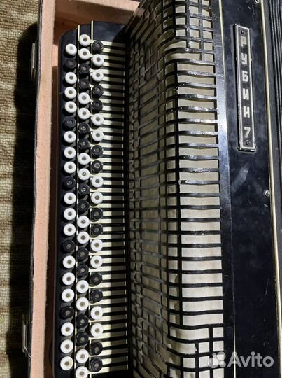 Баян рубин 7